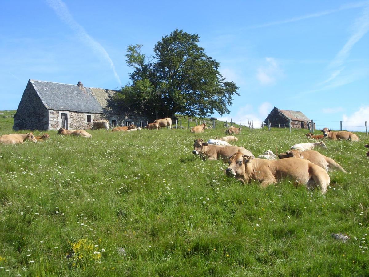 Saint-Chély-dʼAubrac Chambres D'Hotes Le Lepadou-Bas מראה חיצוני תמונה