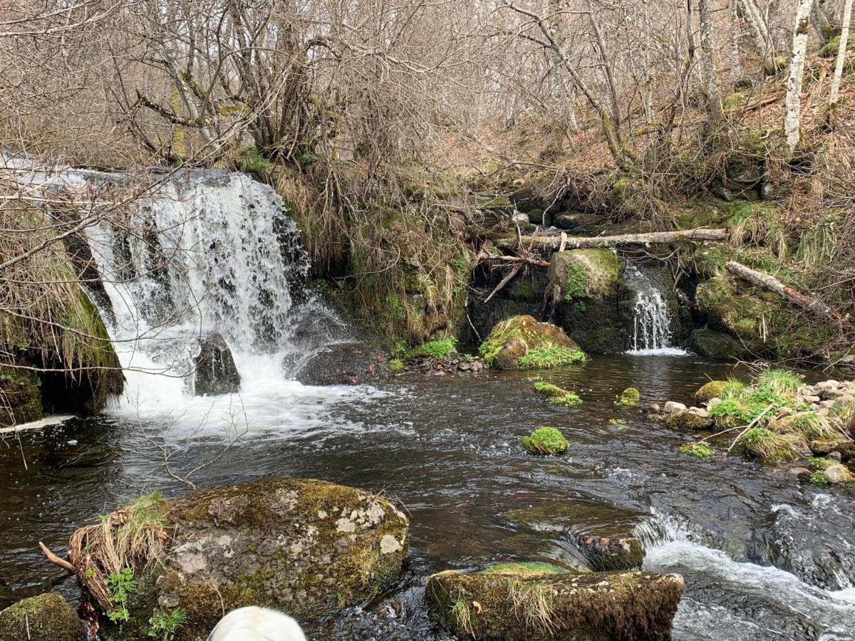 Saint-Chély-dʼAubrac Chambres D'Hotes Le Lepadou-Bas מראה חיצוני תמונה