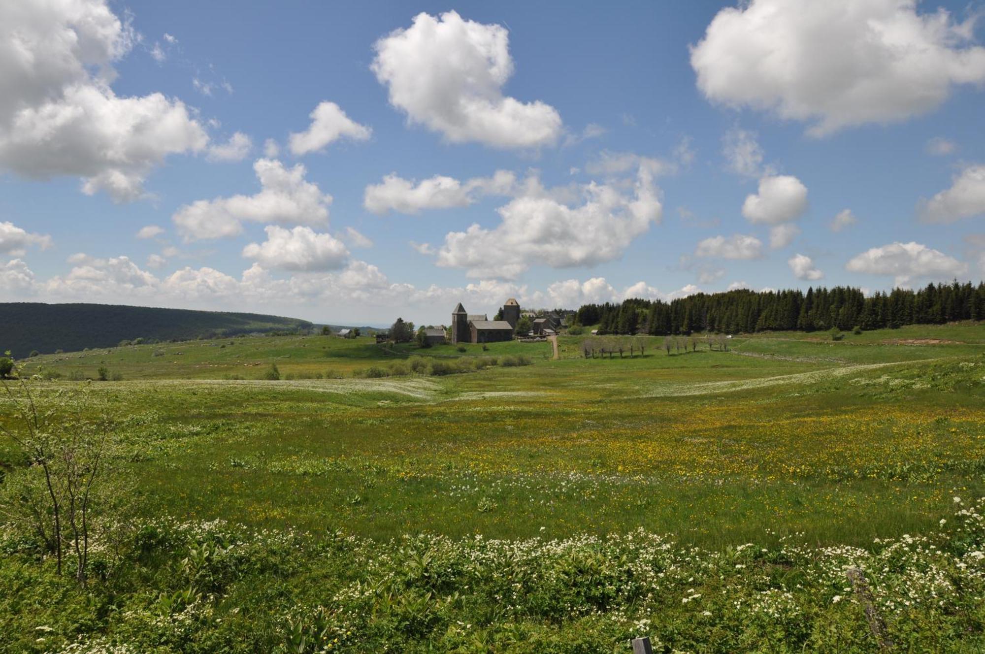 Saint-Chély-dʼAubrac Chambres D'Hotes Le Lepadou-Bas מראה חיצוני תמונה